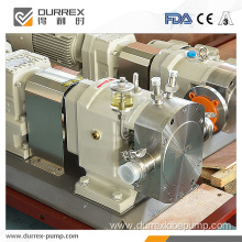 High precision sanitary chocolate rotor pump